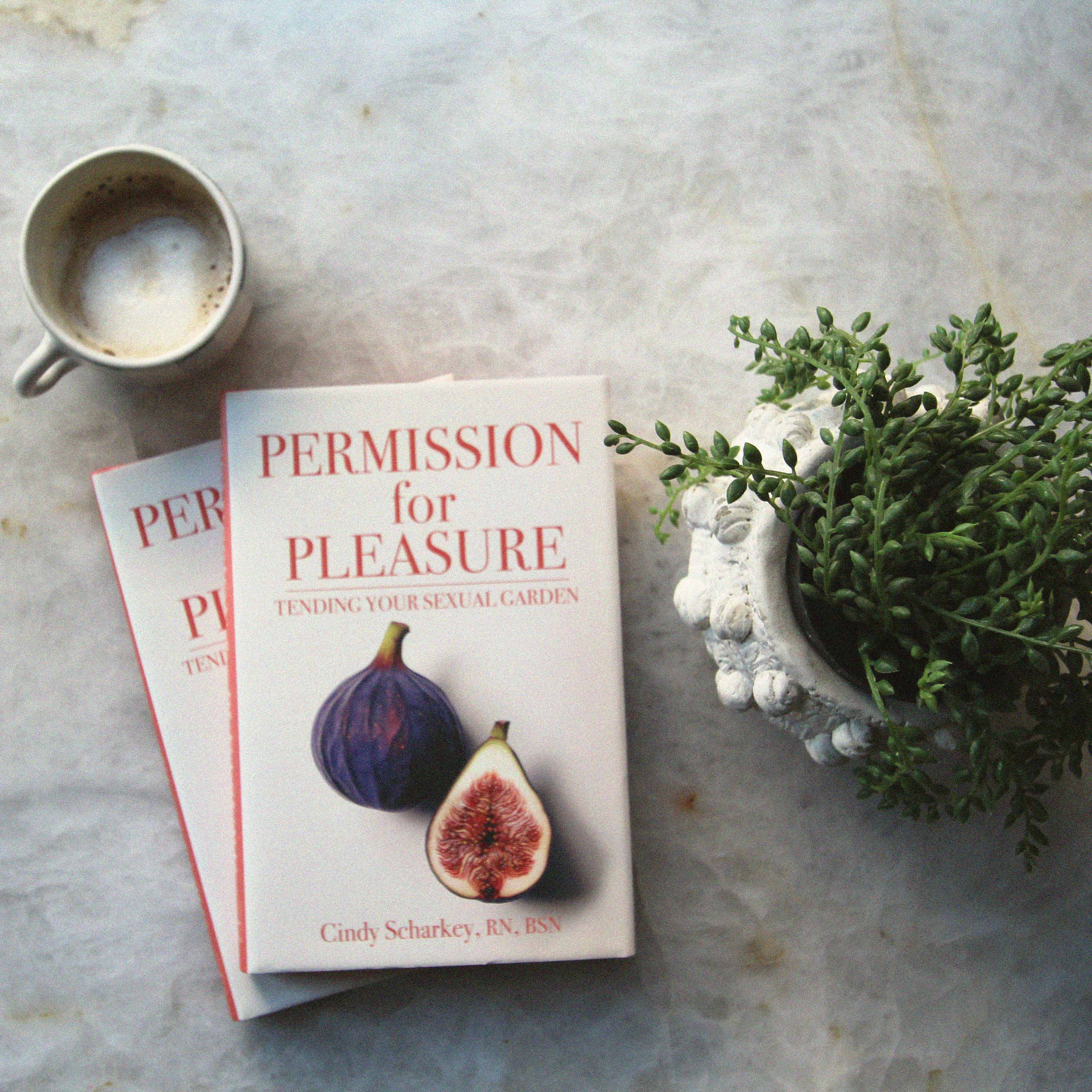 Permission for Pleasure: Tending your Sexual Garden
